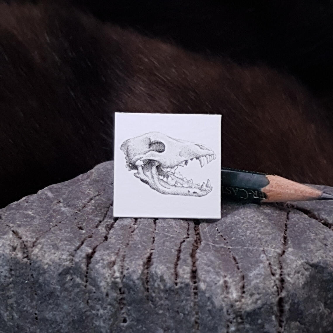 Miniature drawing 1 inch pointillism canine dog skull fossil
