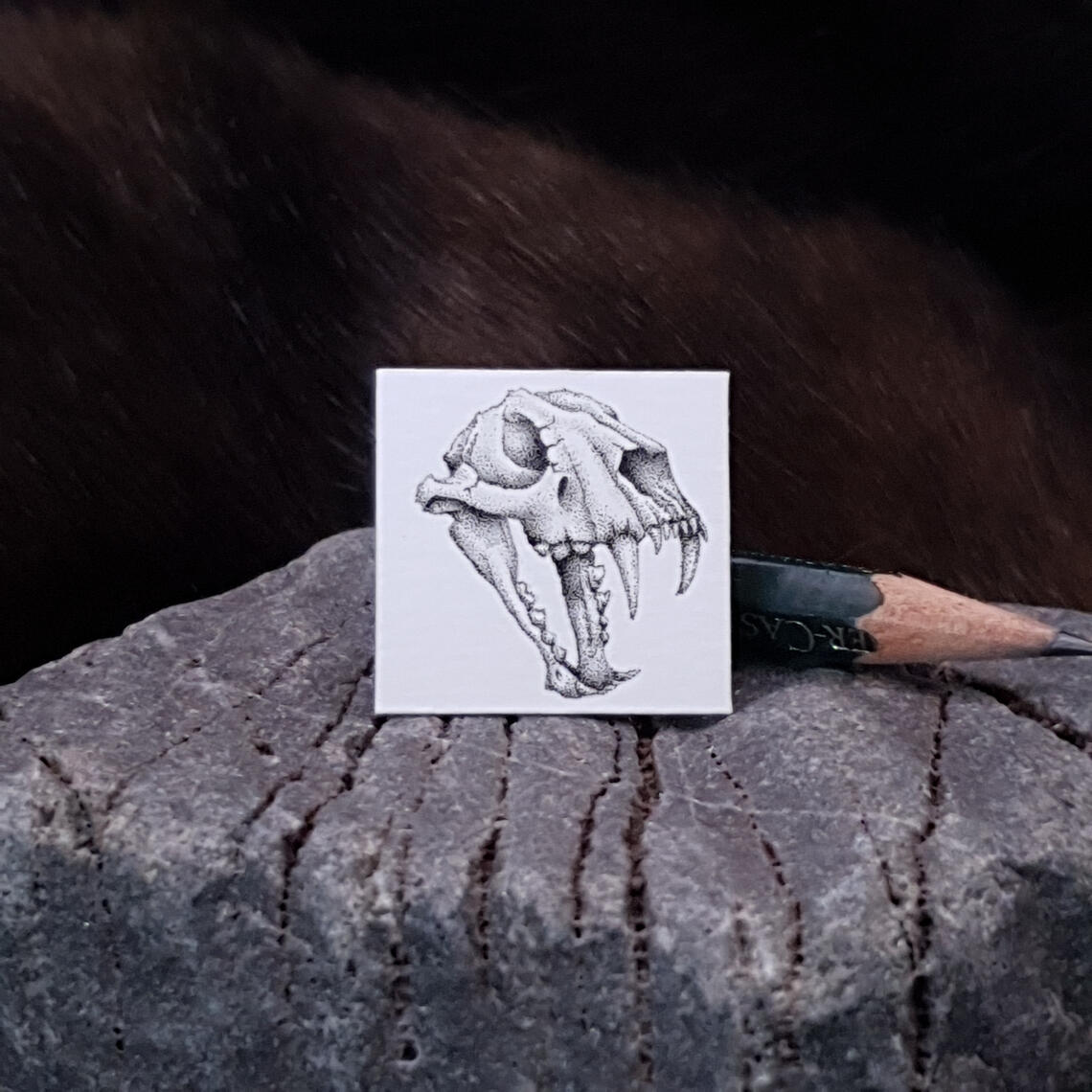 Miniature drawing 1 inch pointillism sabre tooth tiger skull fossil