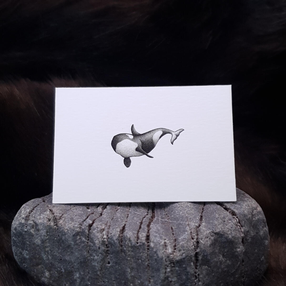 Miniature drawing 1 inch pointillism orca killer whale