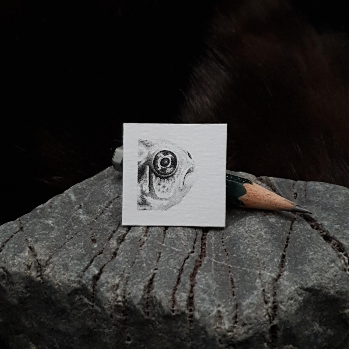 Miniature drawing 1 inch pointillism fish